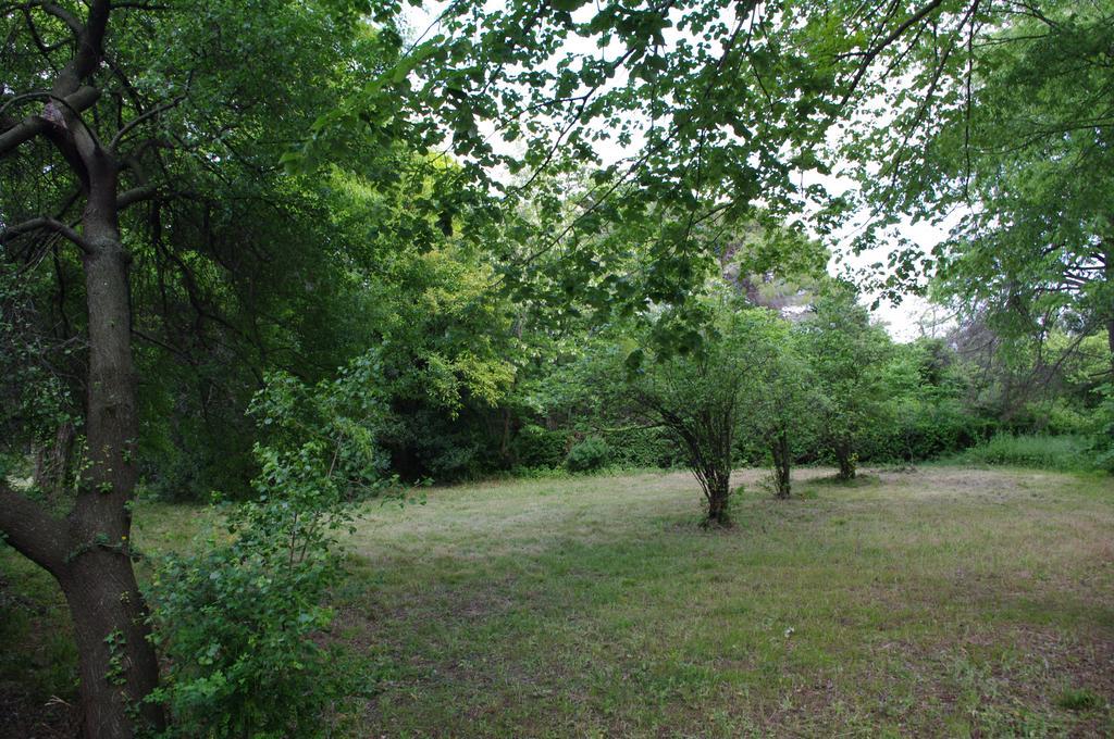 Chateau Le Vergel Authenac Ginestas ห้อง รูปภาพ