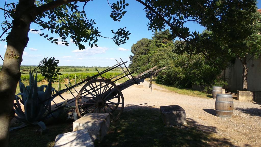 Chateau Le Vergel Authenac Ginestas ห้อง รูปภาพ