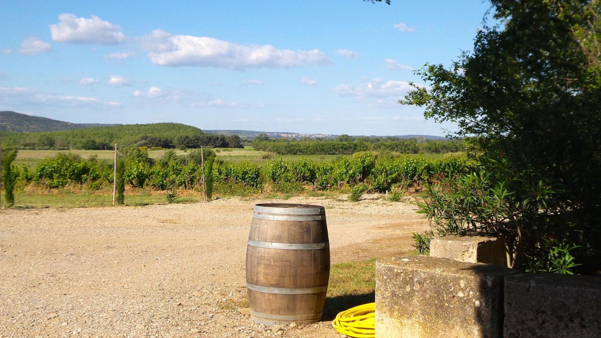 Chateau Le Vergel Authenac Ginestas ห้อง รูปภาพ